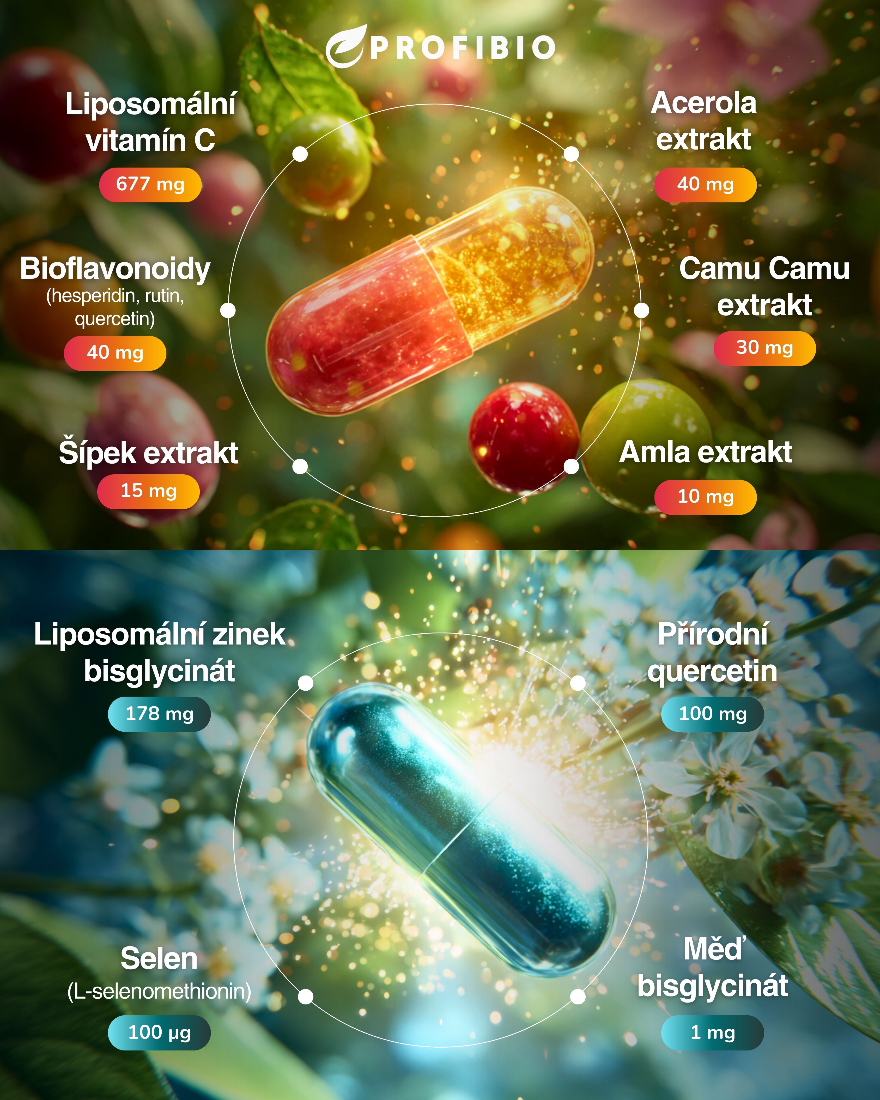 profibio zinek + vitamín c